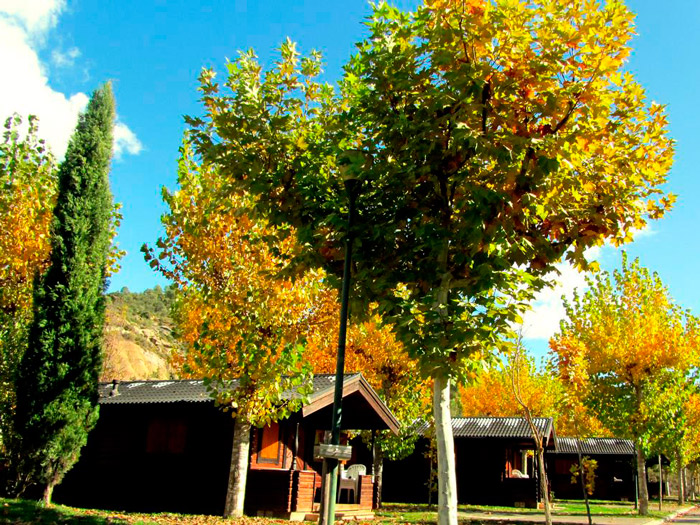 Bungalows Ligüerre de Cinca, La Pedanía